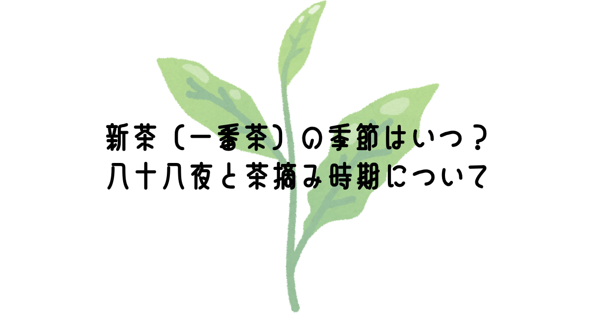 新茶(一番茶)の季節はいつ?八十八夜と茶摘み時期について