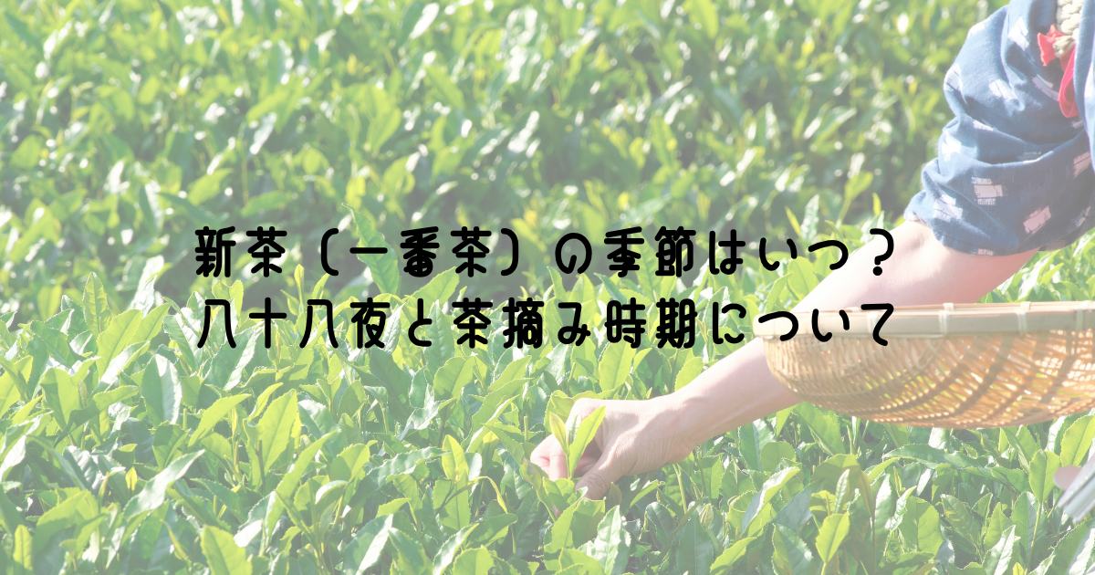 新茶(一番茶)の季節はいつ?八十八夜と茶摘み時期について