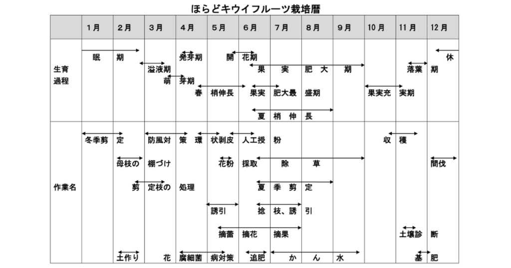 ほらどキウイフルーツ栽培暦