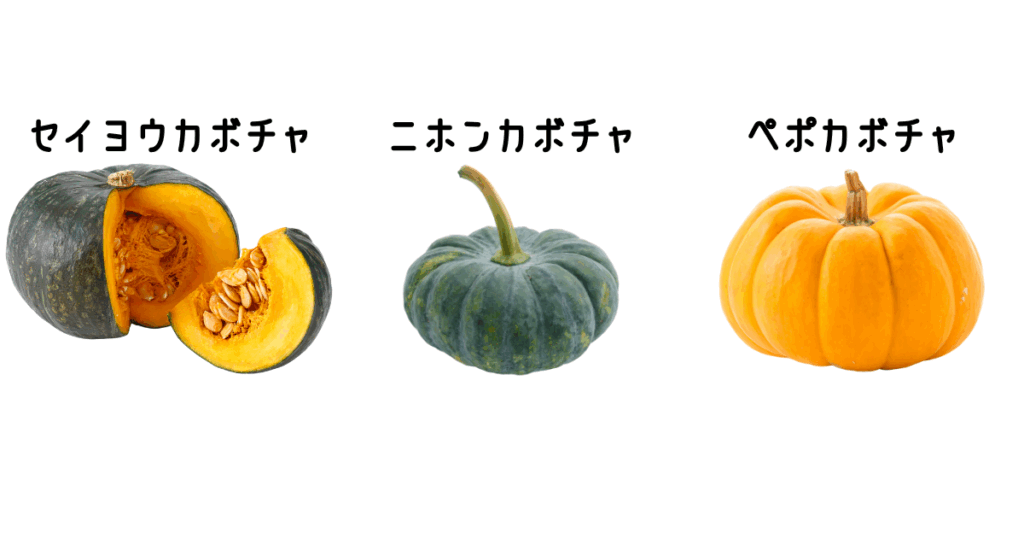 カボチャの実「セイヨウカボチャ」「ニホンカボチャ」「ペポカボチャ」の判別