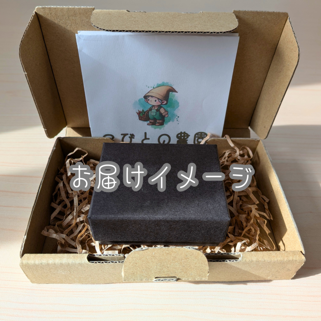 つまみ細工「ほらどキウイのピンバッジ」お届けイメージ