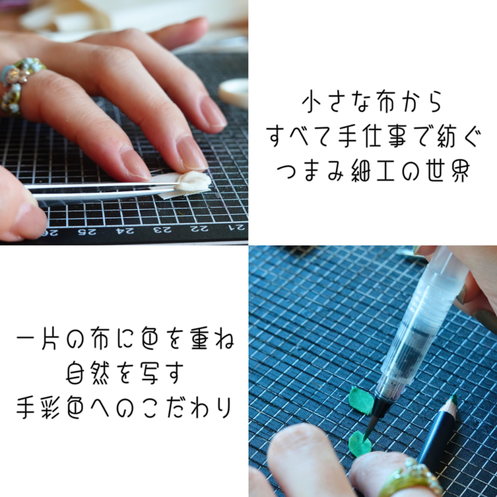 商品写真「コンセプト」ほらどキウイ