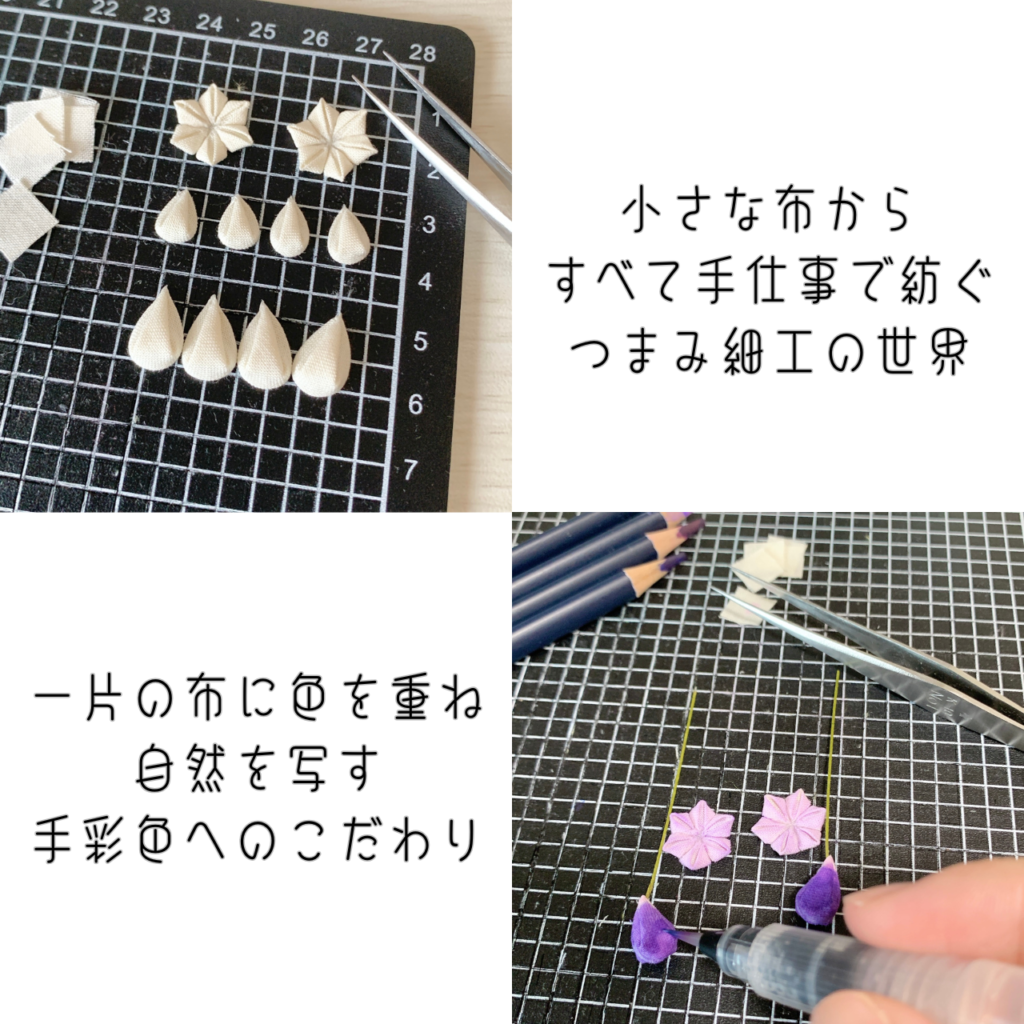 商品写真「コンセプト」千両なす