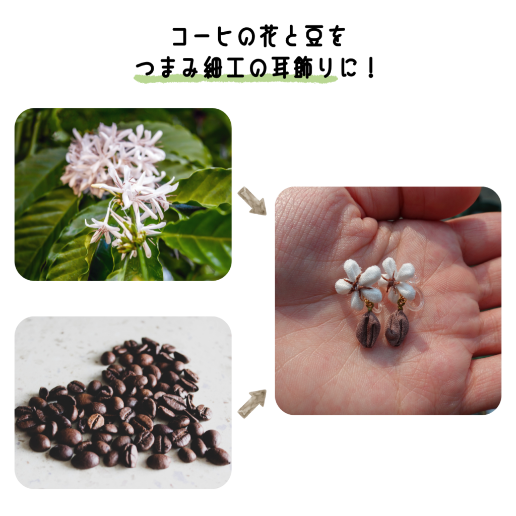 商品写真「こびとの農園の作品」コーヒーの耳飾り