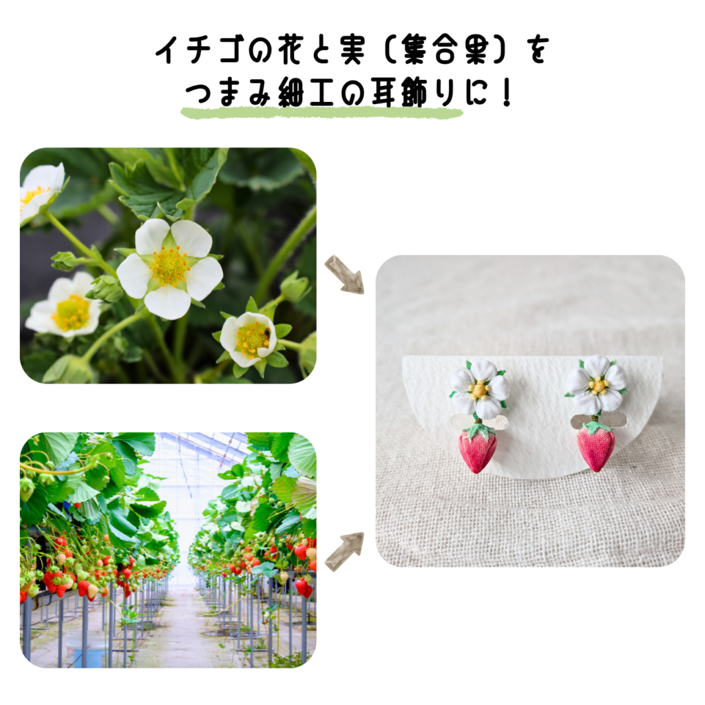 商品写真「こびとの農園の作品」イチゴ（美濃娘）の耳飾り