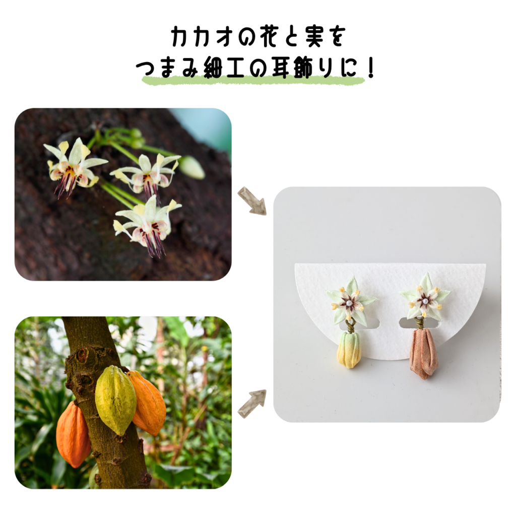 商品写真「こびとの農園の作品」カカオの耳飾り