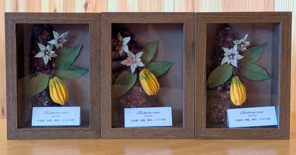 【ワークショップ実施報告】2026年2月11日(水・祝)こびとの農園×Cafe Licorice (カフェ リコリス)「カカオのフレーム」みんなのフレーム