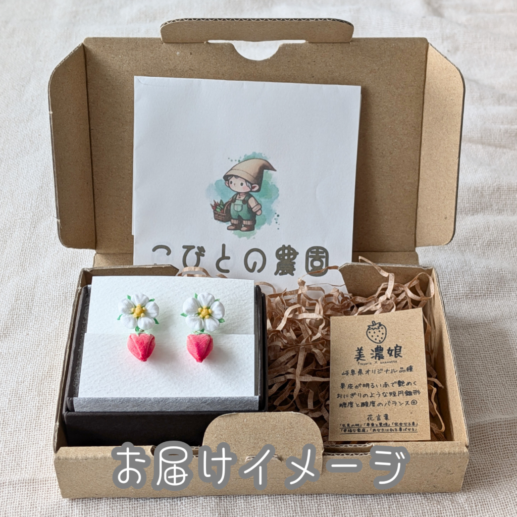 つまみ細工「イチゴ（美濃娘）の耳飾り」お届けイメージ