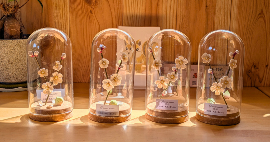 【ワークショップ実施報告】2026年3月7日（土）こびとの農園×Cafe Licorice (カフェ リコリス)「ウメのガラスドーム」