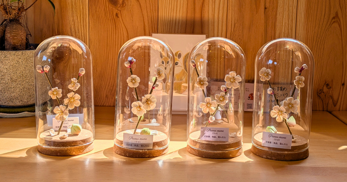 【ワークショップ実施報告】2026年3月7日（土）こびとの農園×Cafe Licorice (カフェ リコリス)「ウメのガラスドーム」