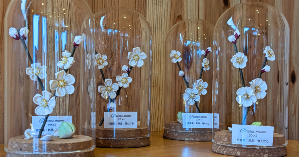 【ワークショップ実施報告】2026年3月7日（土）こびとの農園×Cafe Licorice (カフェ リコリス)「ウメのガラスドーム」 完成したガラスドームたち