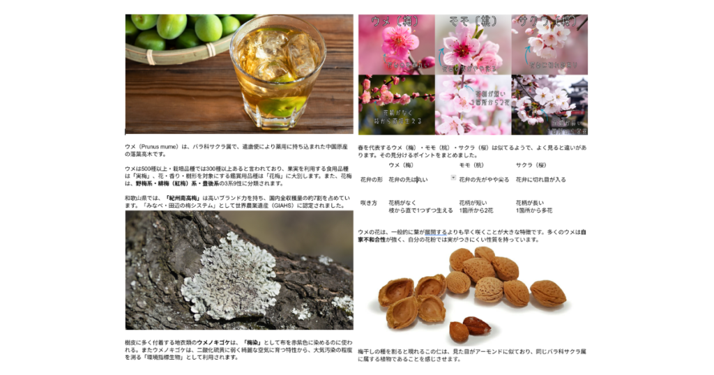 【ワークショップ実施報告】2026年3月7日（土）こびとの農園×Cafe Licorice (カフェ リコリス)「ウメのガラスドーム」　食育ペーパー