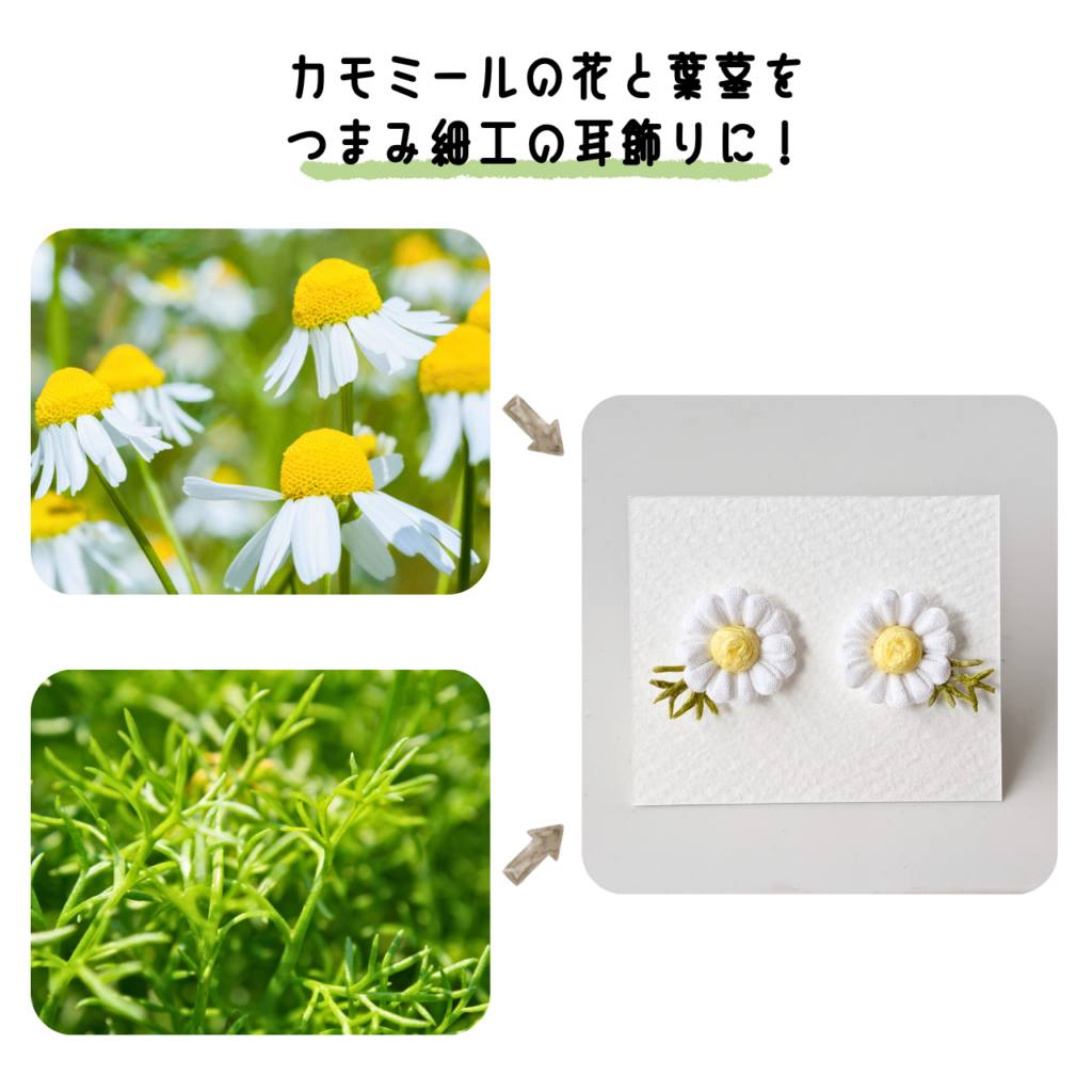 商品写真「こびとの農園の作品」カモミールの耳飾り
