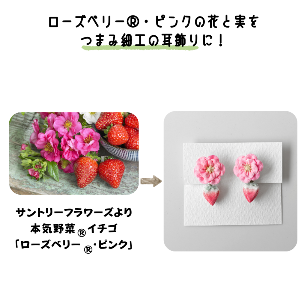 商品写真「こびとの農園の作品」ローズベリー®・ピンクの耳飾り