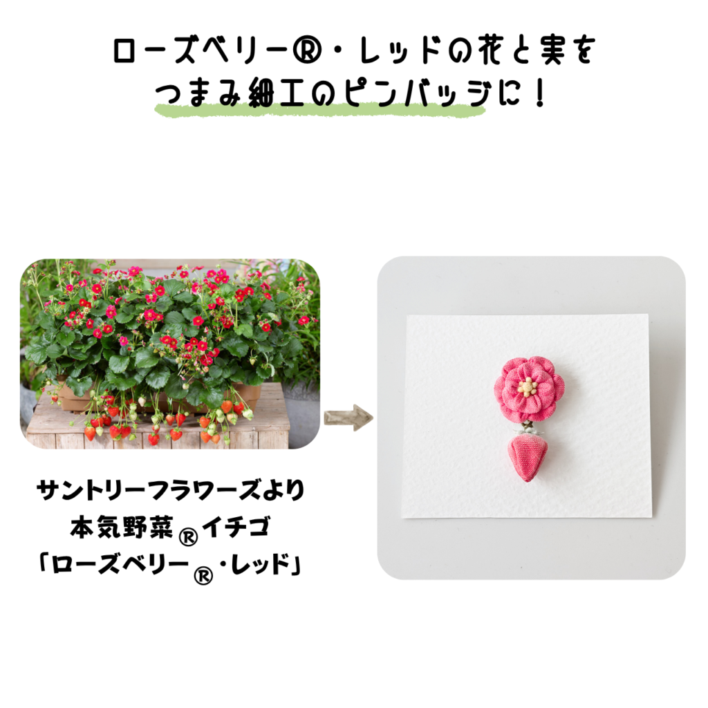 商品写真「こびとの農園の作品」ローズベリー®・レッドのピンバッジ