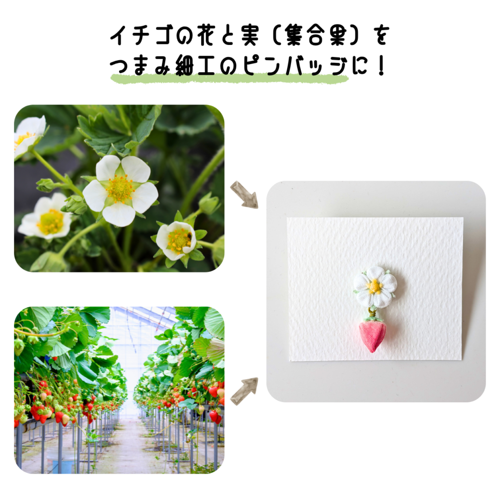 商品写真「こびとの農園の作品」イチゴ（美濃娘）のピンバッジ