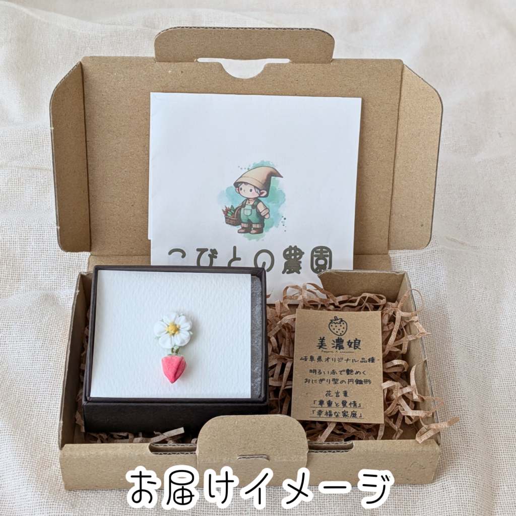 つまみ細工「イチゴ（美濃娘）のピンバッジ」箱入り写真