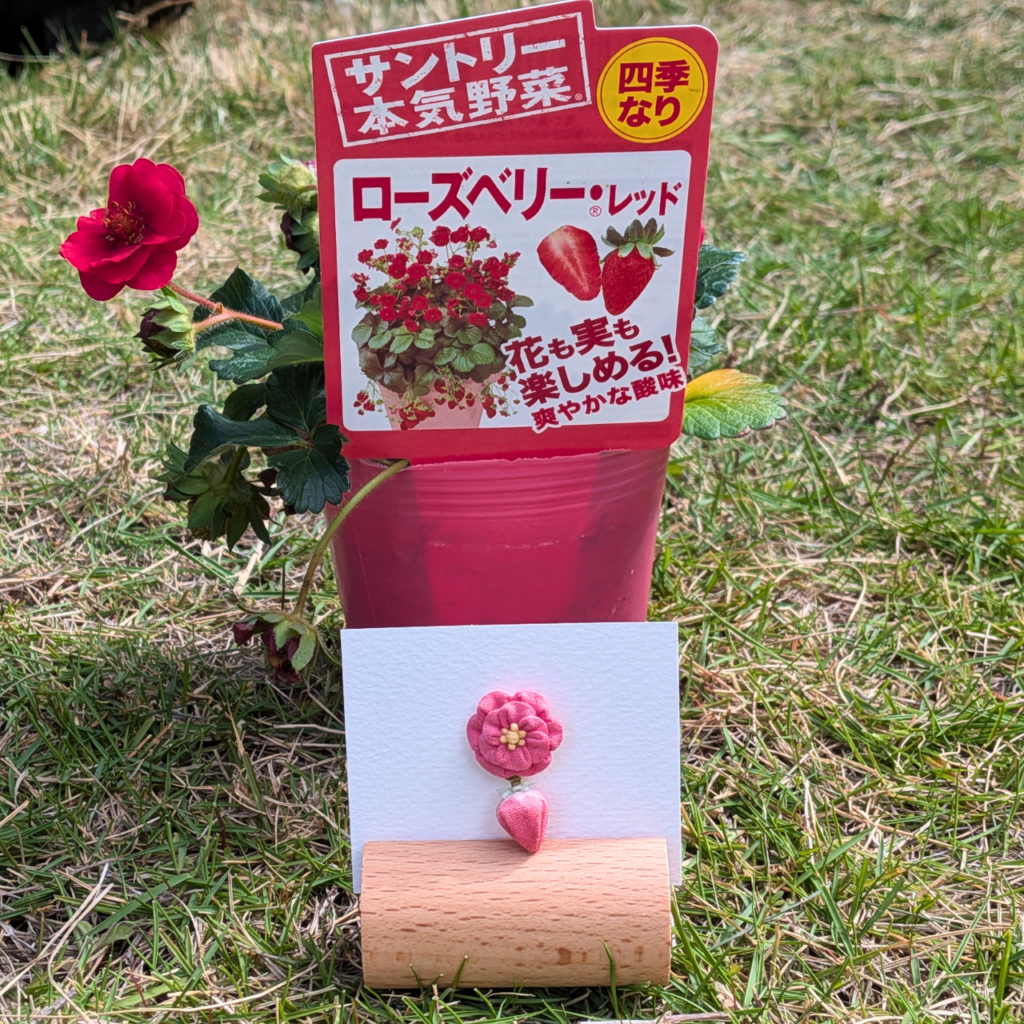 つまみ細工「ローズベリー®・レッドのピンバッジ」本気野菜ラベルと作品の写真