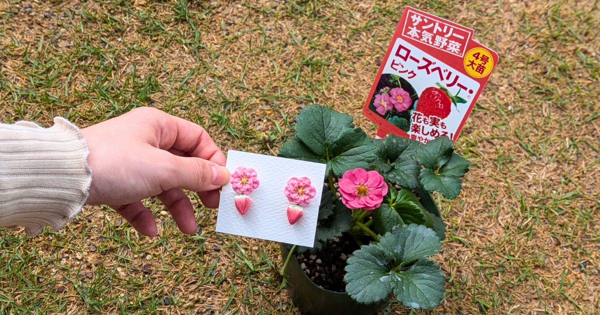 つまみ細工「ローズベリー®・ピンクの耳飾り」〜サントリーフラワーズ〜アイキャッチ