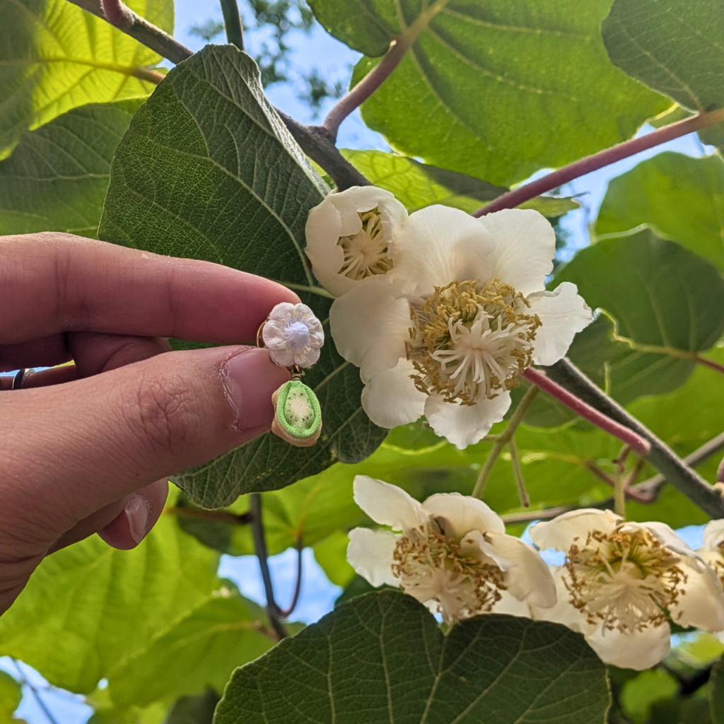 つまみ細工「ほらどキウイのピンバッジ」本物のキウイの花