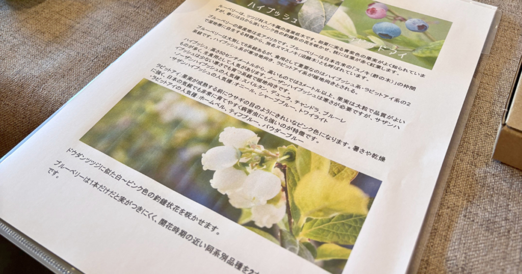 【ワークショップ実施報告】2026年6月27日(土)こびとの農園×Cafe Licorice (カフェ リコリス)「ブルーベリーのバングル」 食育講座