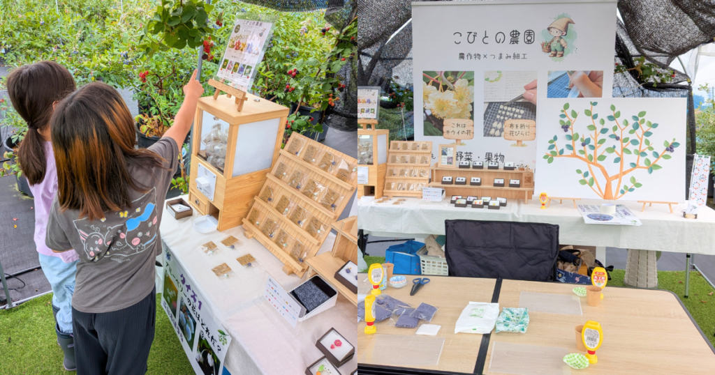 【ワークショップ実施報告】2026年 6月28日（日）こびとの農園×ブルーベリーポケット「ブルーベリーの木」物販スペース