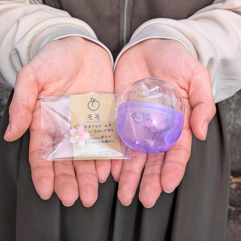 つまみ細工「ピンバッジ」カプセルトイ(ガチャガチャ)全5種類セット (カプセルの中と外)