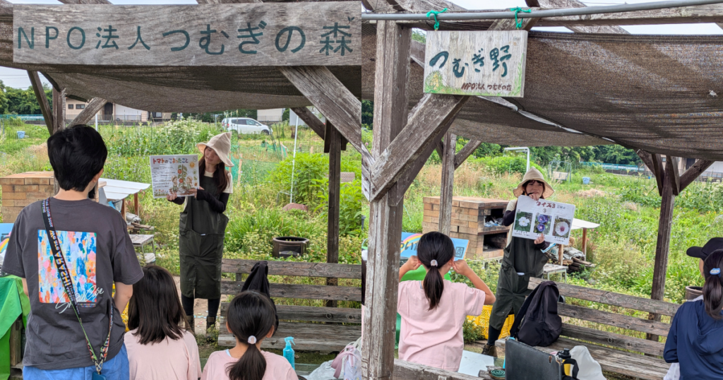 【ワークショップ実施報告】公益財団法人キユーピーみらいたまご財団助成事業プログラムA「食育活動助成」　循環型食育講座「つくって、たべて、また土へ。いのちのひみつを体験しよう」　A日程2026年4月29日・6月14日 (こびとの農園による食育講座)