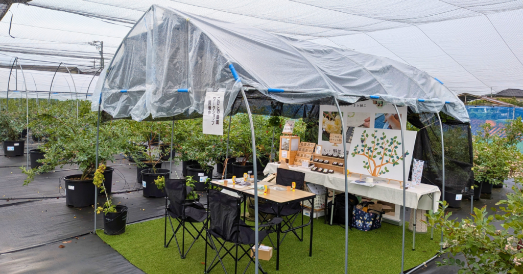 【ワークショップ実施報告】2026年 6月28日（日）こびとの農園×ブルーベリーポケット「ブルーベリーの木」こびとの農園のブース