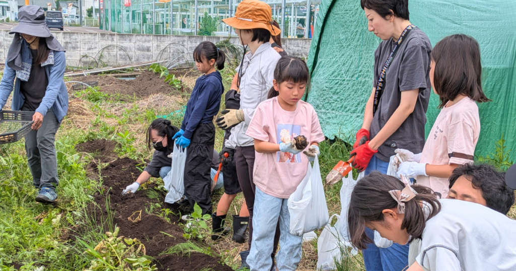 【ワークショップ実施報告】公益財団法人キユーピーみらいたまご財団助成事業プログラムA「食育活動助成」　循環型食育講座「つくって、たべて、また土へ。いのちのひみつを体験しよう」　A日程2026年4月29日・6月14日 (じゃがいも収穫)