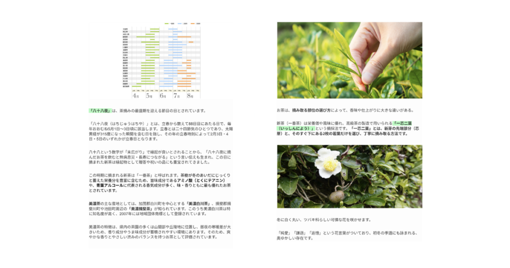 【ワークショップ実施報告】2026年6月4日（木）こびとの農園×Cafe Licorice (カフェ リコリス)「お茶のブックマーカー・ヨモギのブックカバー」 ペーパーの内容