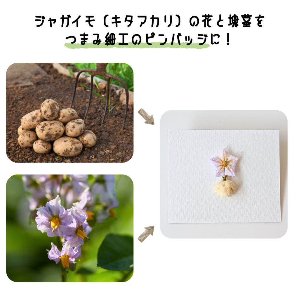 商品写真「こびとの農園の作品」ジャガイモ（キタアカリ）のピンバッジ