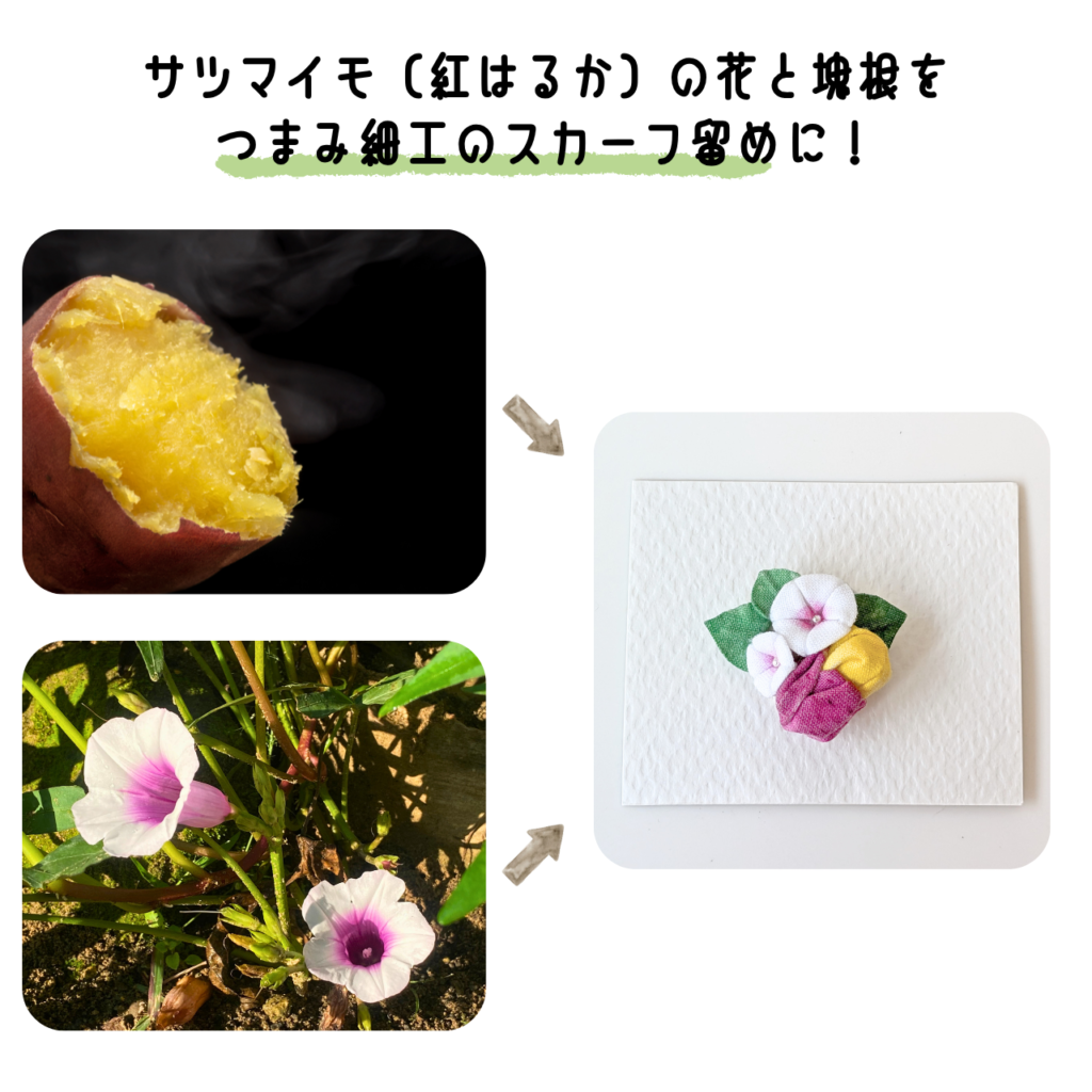 商品写真「こびとの農園の作品」サツマイモのスカーフ留め