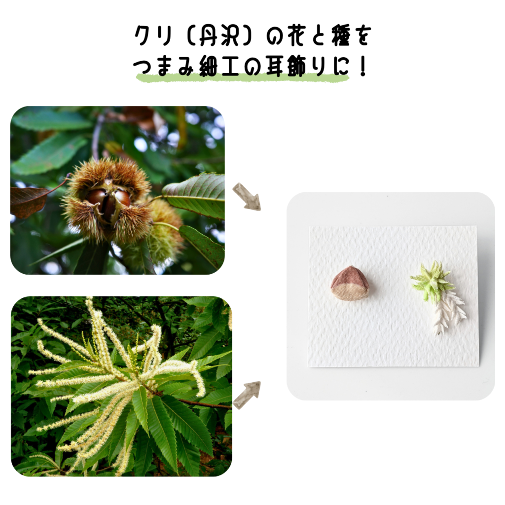 商品写真「こびとの農園の作品」クリ（丹沢）のピアス・イヤリング