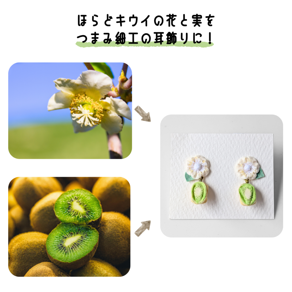 商品写真「こびとの農園の作品」ほらどキウイのピアス・イヤリング