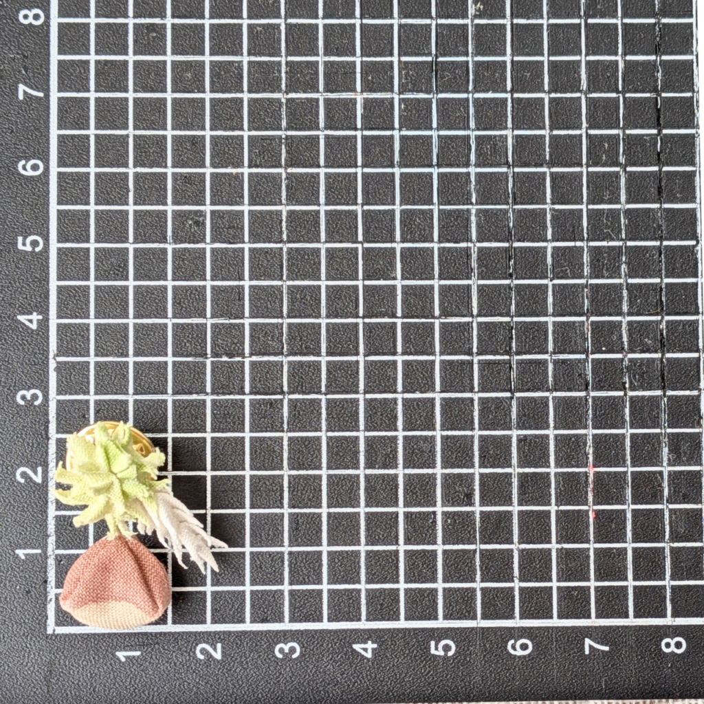 つまみ細工「クリ(丹沢)のピンバッジ」 サイズ確認写真