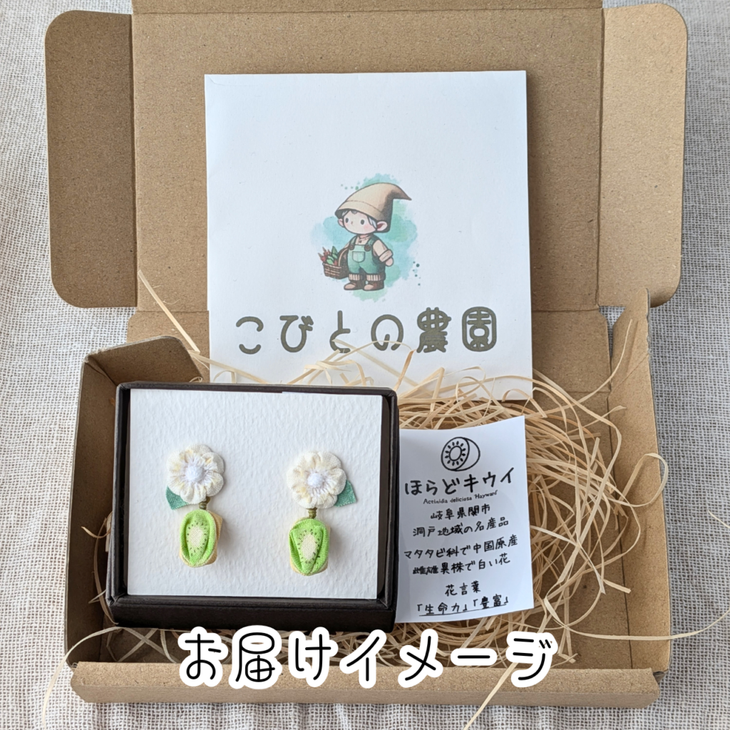 つまみ細工「ほらどキウイのピアス・イヤリング」 (お届けイメージ)