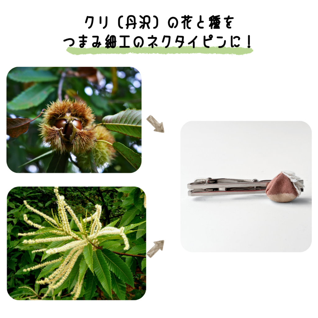 商品写真「こびとの農園の作品」クリ(丹沢)のネクタイピン