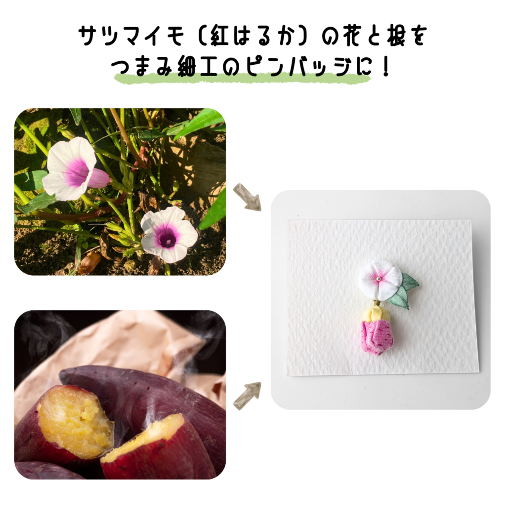 商品写真「こびとの農園の作品」サツマイモ（紅はるか）のピンバッジ